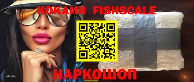 гидропоника Гатчина