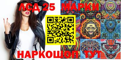гидропоника Гатчина