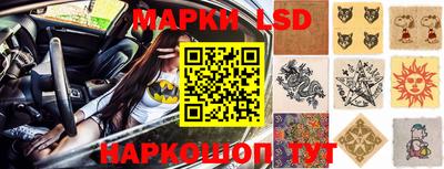 гидропоника Гатчина