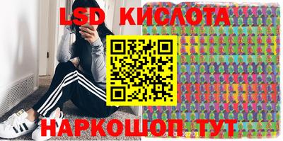 гашик Гай