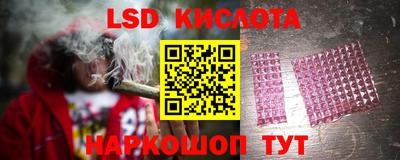 гашик Гай