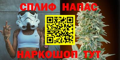 a pvp Гагарин
